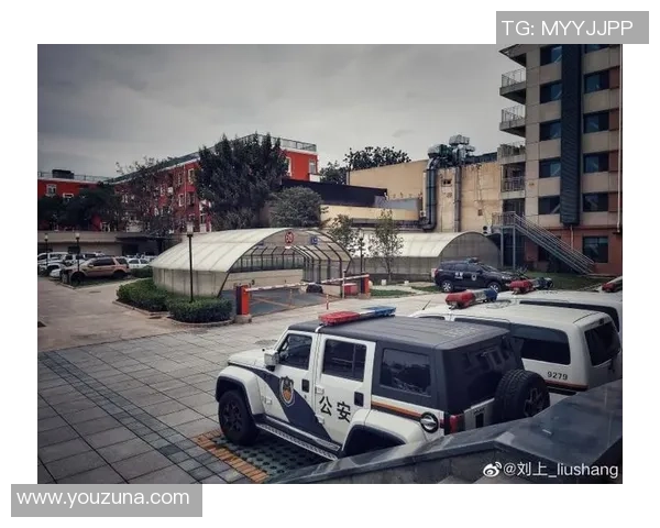 深圳极限运动队的战术探讨与挑战精神的完美结合